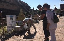 Chiang Mai City Culture Half-Day Cycling Tour