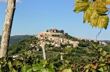 From Pula or Medulin: Rovinj, Grožnjan & Motovun day tour