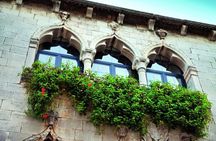 From Pula or Medulin: Rovinj, Grožnjan & Motovun day tour