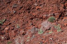 Hiking activity through the volcanic land of wonder