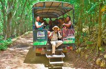 Jamwest: Zipline, Cultural Ride, and ATV Off-Road Adventure