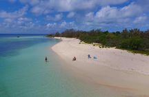 Water Taxi Signal Island Turtle Tour for cruisers