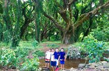 Private Tour of Maui, the Valley Isle