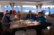 Fishing Trip with Luxury Catamaran in Tromso