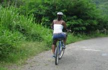 Blue Mountain Bicycle Tour from Runaway Bay