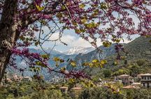 Hiking around Kardamyli