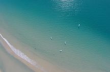 From Noosa: Stand Up Paddle Wildlife & Beach 4X4 Adventure