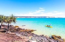 Epic Kayak With Dolphins & Wildlife - 4WD Beach Adventure Noosa