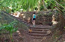 Ancient Oahu Circle Island Tour From Waikiki
