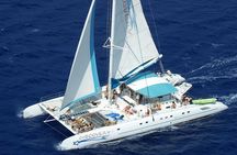 From Punta Cana: Saona Island & Altos de Chavon Day Trip with Lunch and Open Bar