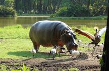 Full-Day Tour of Mombasa