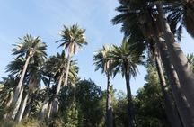Explore the Coastal Mountains - Private Day Trip from Santiago