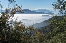 Explore the Coastal Mountains - Private Day Trip from Santiago