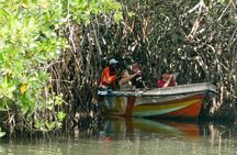 Madu River Safari at Balapitiya