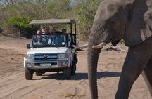 Chobe National Park Game Drive, Botswana