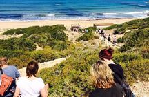 Cruise and 4X4 Safari Tour at Akamas Peninsula from Paphos