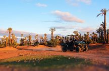 Buggy Tour in Marrakech Palm Grove 