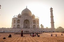  Agra Local Tour with Taj Mahal 