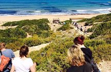 Half day Safari Tour to Akamas Peninsula from Paphos