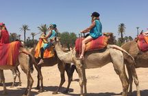  camel ride in Marrakech palm grove