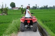 Bali Atv Quad Bike Through Tunnel and Waterfall