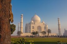 Agra & Taj Mahal Guided Day Tour from Delhi By Car