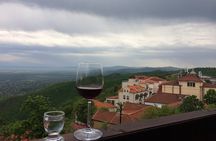 3 Organic Wineries Private Day Trip to Wine Province With Lunch and Tastings