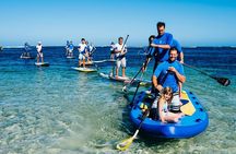 Stand Up Paddle Board Experience on Pristine Gnarabup Bay