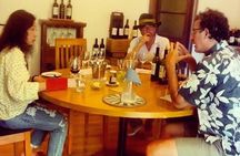 Aconcagua Private Wine Lovers Premium Tour