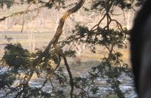 Jhalana Safari Park Leopard- One Jungle Jeep Safari And One Night Stay In Hotel