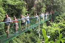 Puntarenas Shore Excursion: Rainforest Skywalk & Tarcoles River Eco Cruise