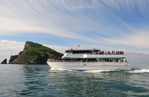 Half day Spring Resurrection Bay & Wildlife Tour from Seward