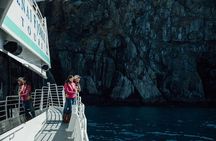 Half day Spring Resurrection Bay & Wildlife Tour from Seward
