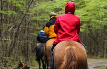 Horseback Riding in Escondido Lake