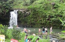 Famous Road to Hana Waterfalls and Lunch by Mercedes Van