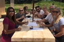 Waiheke island wine tours with Waitiki Tours