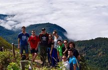 Doi Inthanon Day Trip from Chiang Mai including Karen Hill Tribe & Twin Pagodas