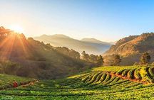 Doi Inthanon Discovery Tour: Waterfalls, Villages & Highest Peak