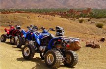 Half-Day Quad Biking In Agadir Surroundings