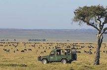 Kenya and Tanzania 9 days safari 