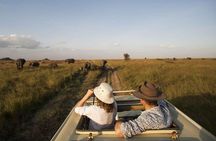 Kenya and Tanzania 9 days safari 