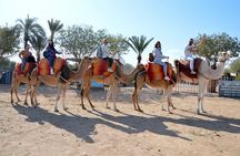 Experience Spa Hammam Massage and Camel tour
