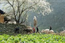 3 Days Sapa Tour with Night Train from Hanoi