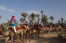 Experience Quad Bikes Camel Ride