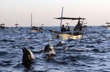 Dolphin Tour and Sunrise Watching in Lovina Beach - All Inclusive
