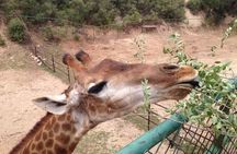 Beijing Badaling Wildlife Park & Juyongguan Great Wall Private Tour