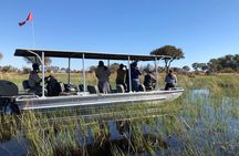 1-Day Okavango Delta Boat Safari from Maun