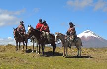 Horseback Riding and Cotopaxi National Park Day Trip