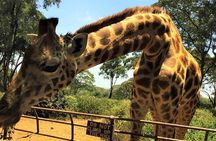 Giraffe Centre and Bomas of Kenya Full-Day Tour from Nairobi