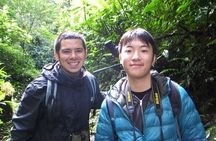 Monteverde Cloud Forest serching for the Quetzal